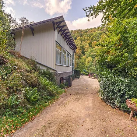 Apartment Bright Flat With Terrace And Sauna Bad Harzburg