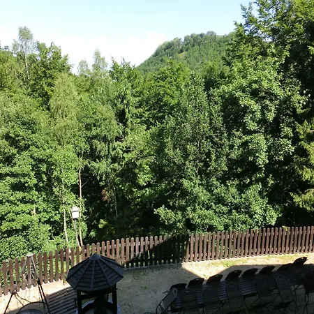 アパート Helle Mit Terrasse Und Sauna バート・ハルツブルク